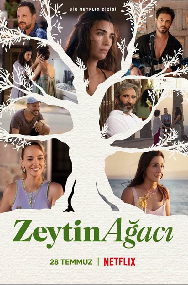 ZEYTİN AĞACI